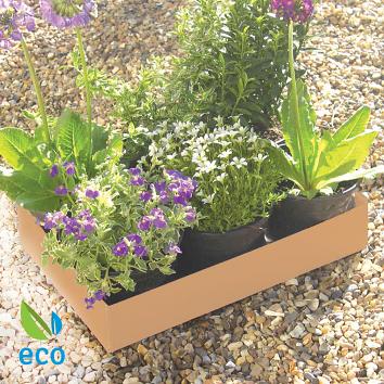 340 x 230 x 60mm  Fold Over Carry Home Tray - Standard (2400)
