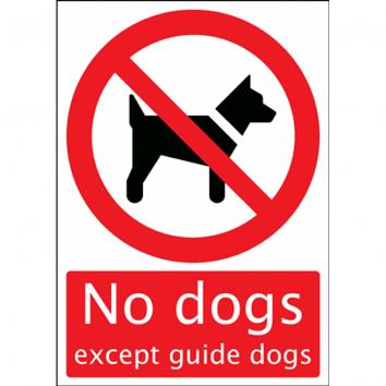 Safety Sign - No Dogs except guide dogs -210 x 148mm Self Adhesive