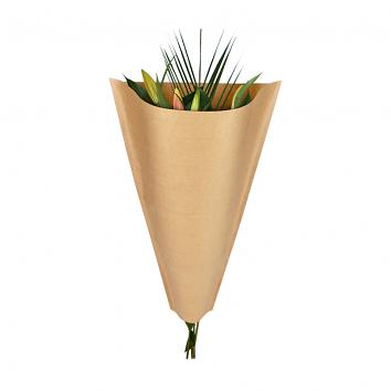 600x400x120mm Large Paper Plant Sleeves Unprinted (500)